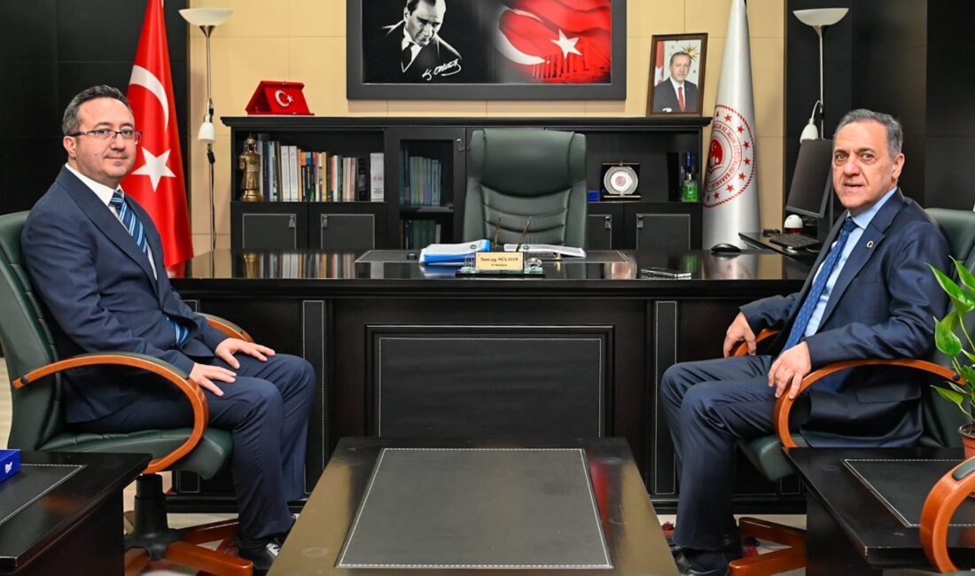 Yalova Valisi Usta, Yeni