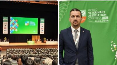 Japonya’nın başkenti Tokyo’da düzenlenen ve