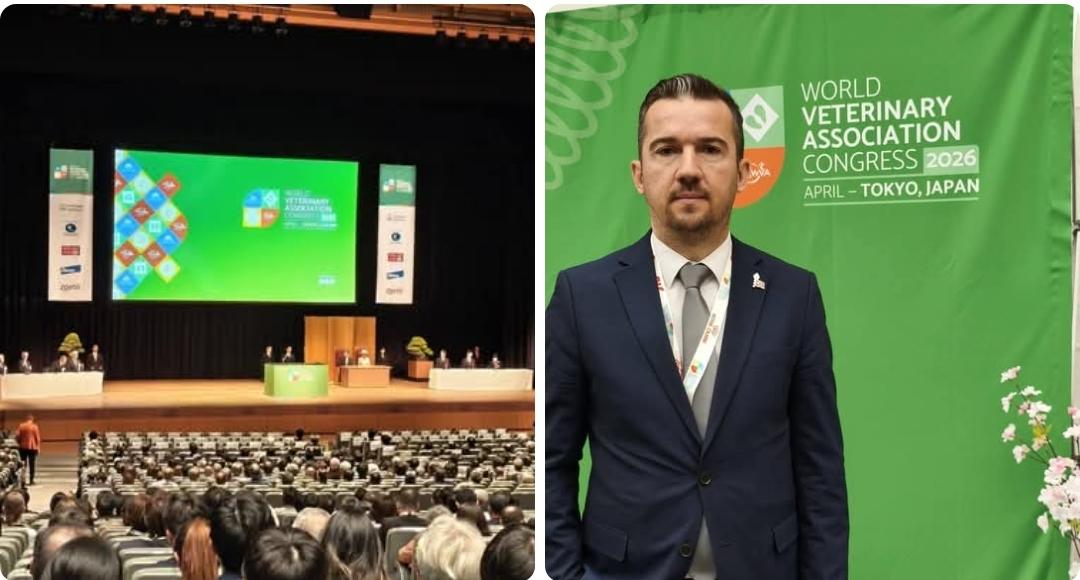 Japonya’nın başkenti Tokyo’da düzenlenen