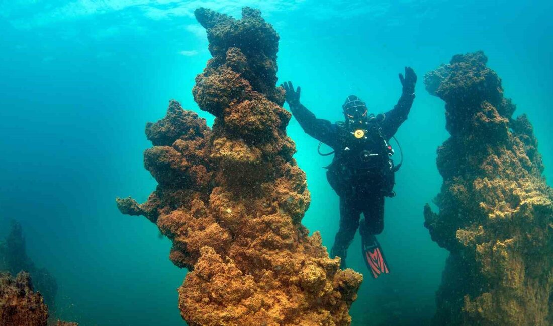 Dışişleri Bakanlığı Van Temsilcisi