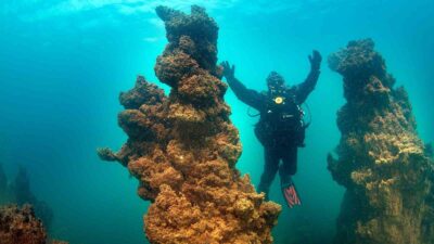 Dışişleri Bakanlığı Van Temsilcisi Büyükelçi