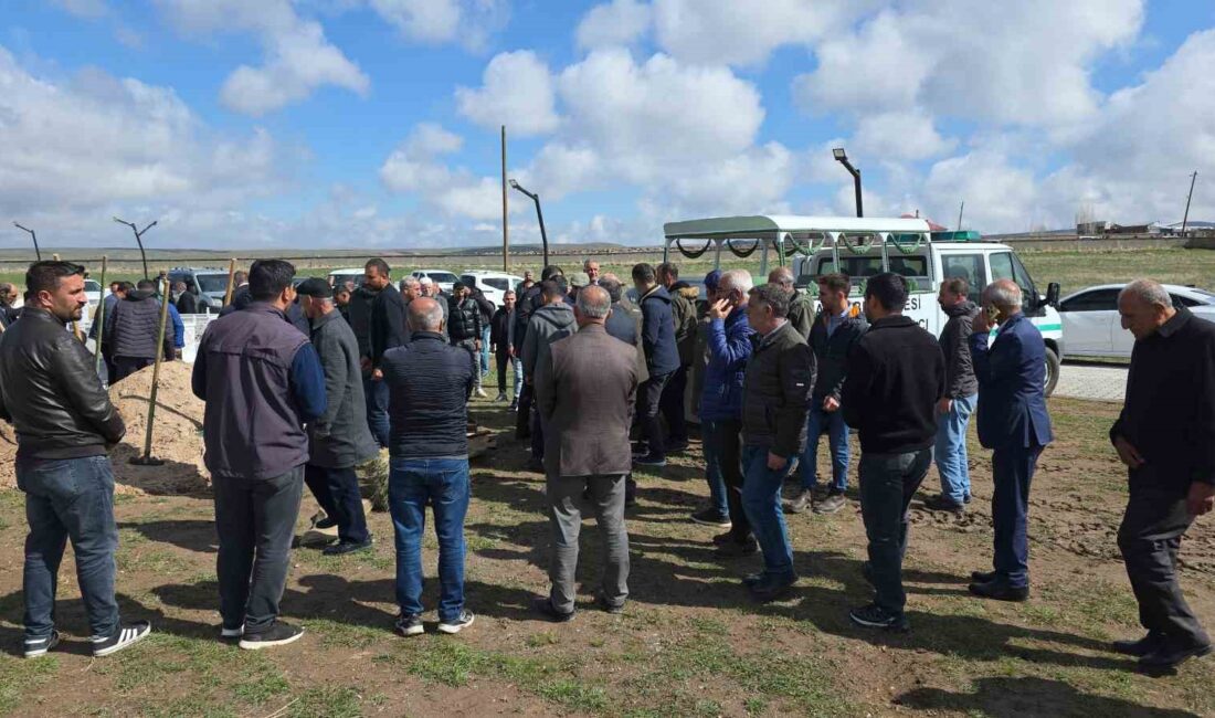 Van’ın Saray ilçesinde sahipsiz