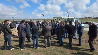 Van’ın Saray ilçesinde sahipsiz sokak