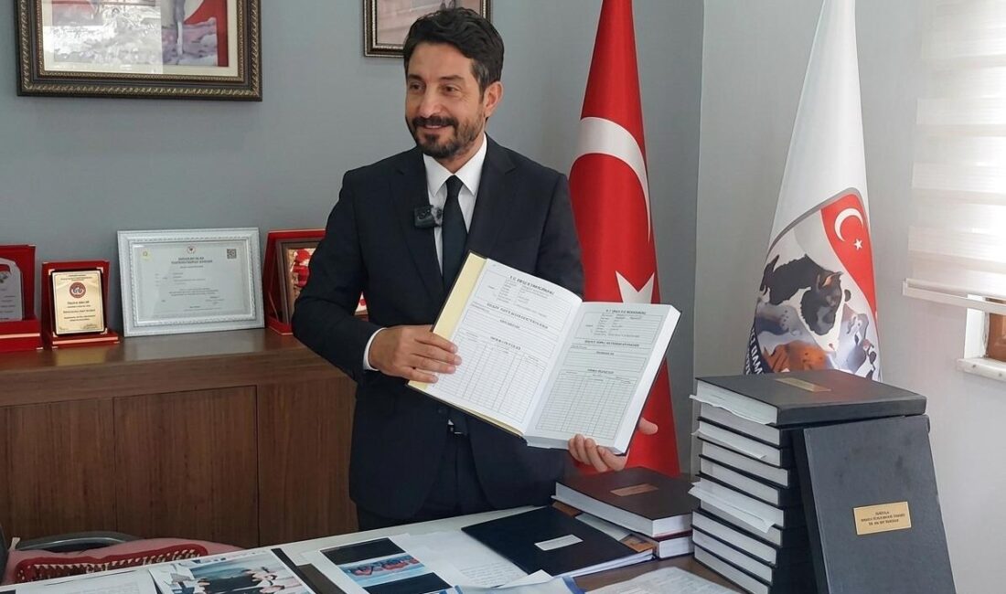 Türkiye Damızlık Sığır Yetiştiricileri