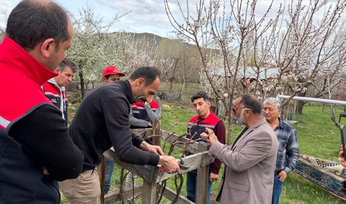 Kars’ta Meyvecilikte Eğitim Seferberliği: Üreticiye Sahada Uygulamalı Destek Kars genelinde meyveciliğin geliştirilmesi