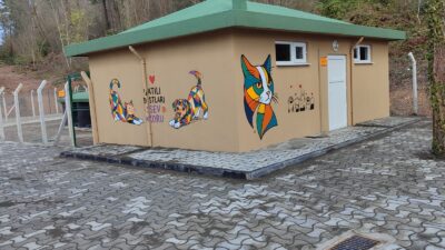 Ordu Valiliği koordinesinde, nüfusu 25