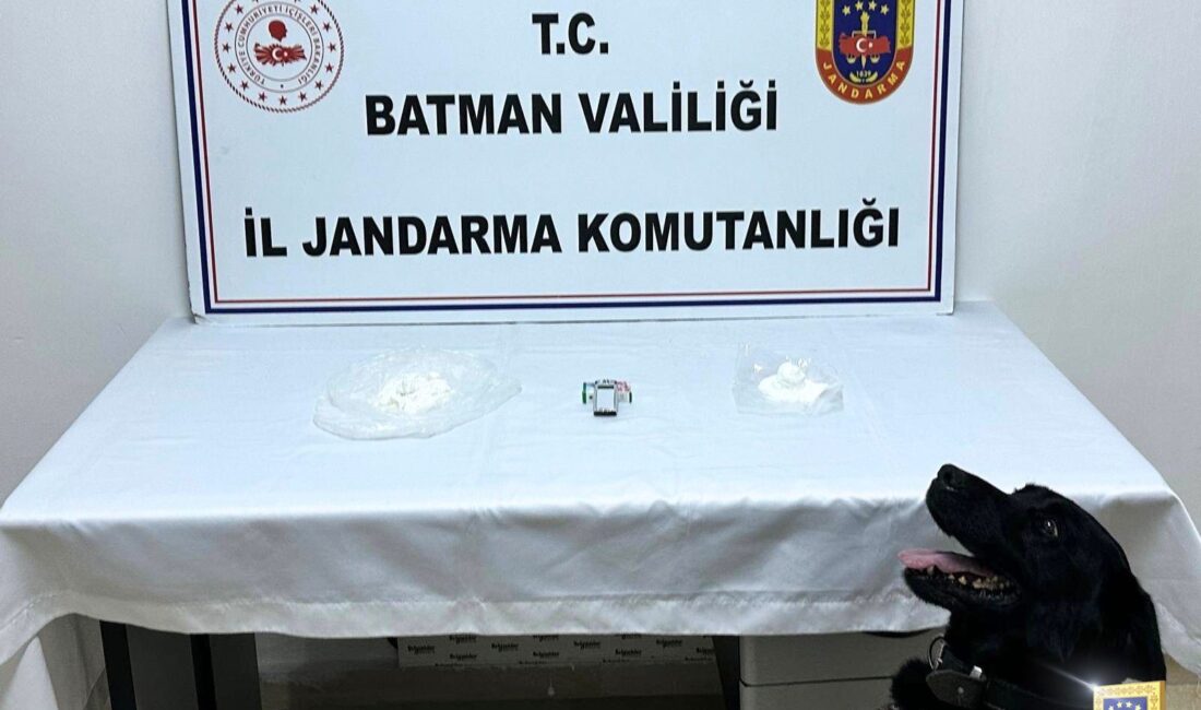 BATMAN / TEKHA Batman