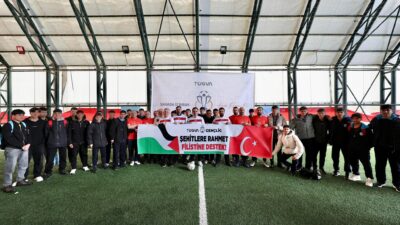 Bitlis Valisi Ahmet Karakaya, Türkiye