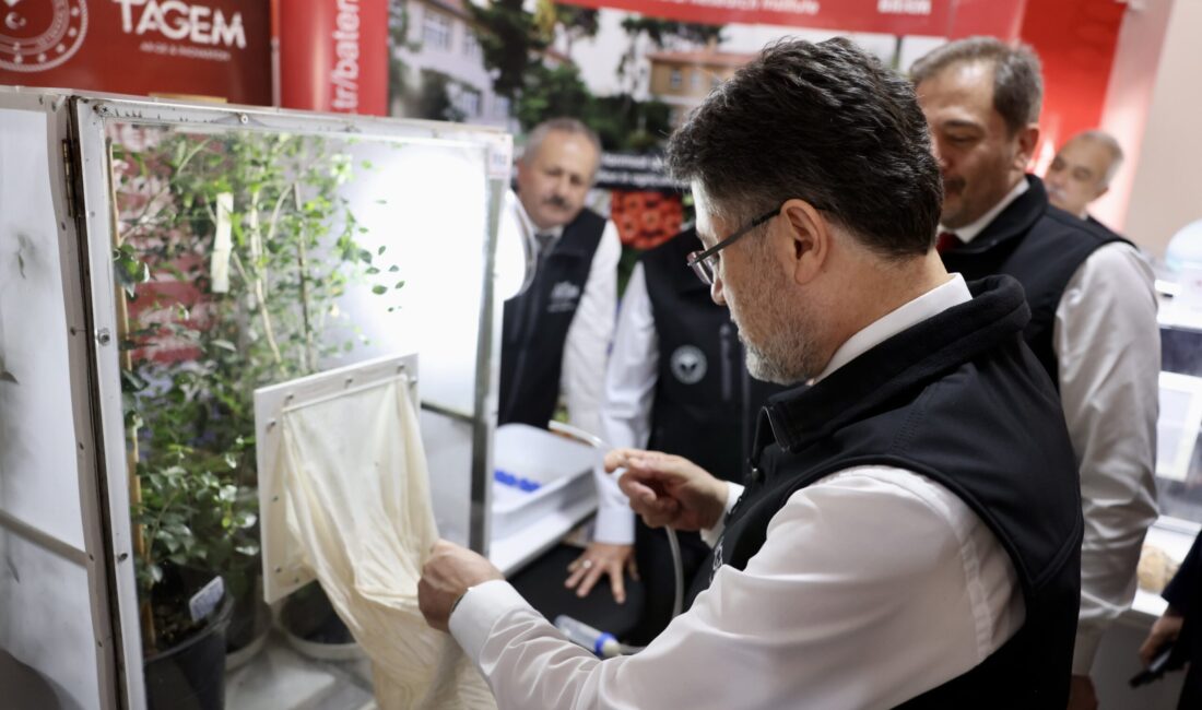 ANTALYA / TEKHA Tarım