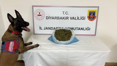 Diyarbakır İl Jandarma Komutanlığı, şehir