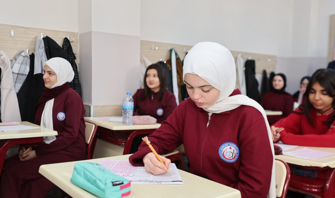 Milli Eğitim Bakanlığı (MEB)