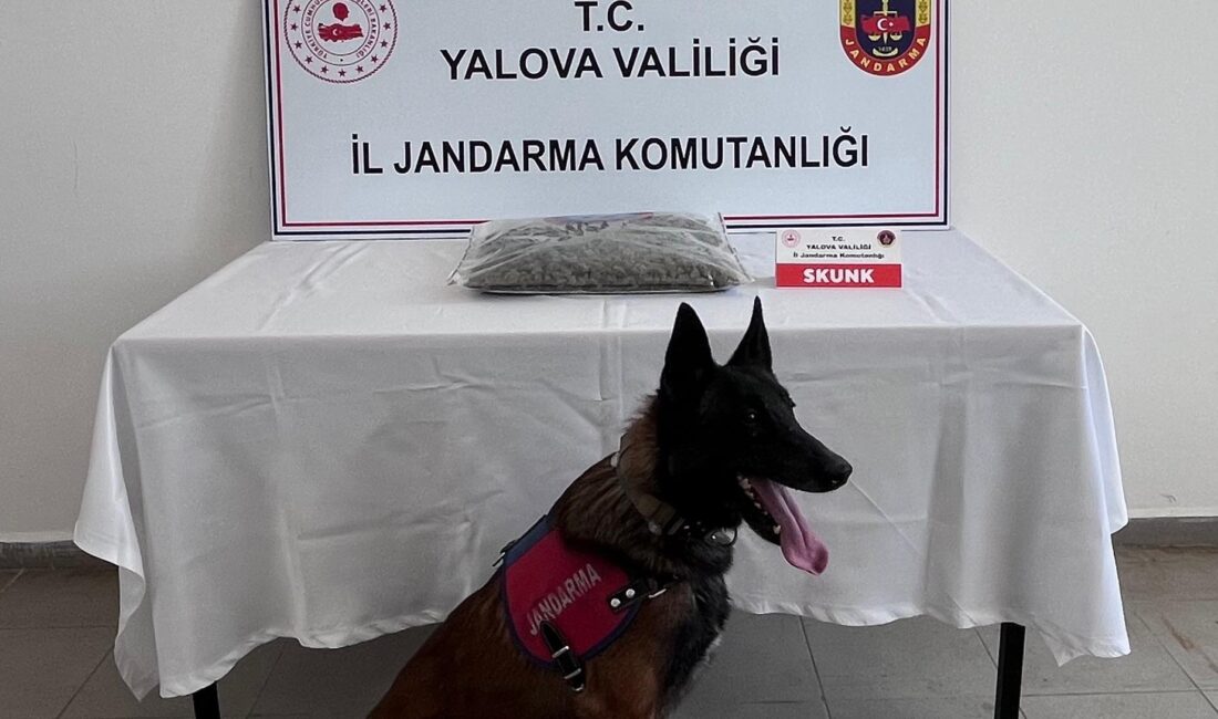Yalova İl Jandarma Komutanlığı,
