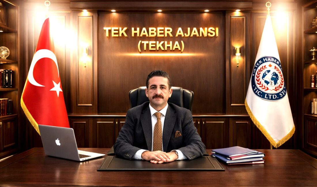 Tek Haber Ajansı Yönetim