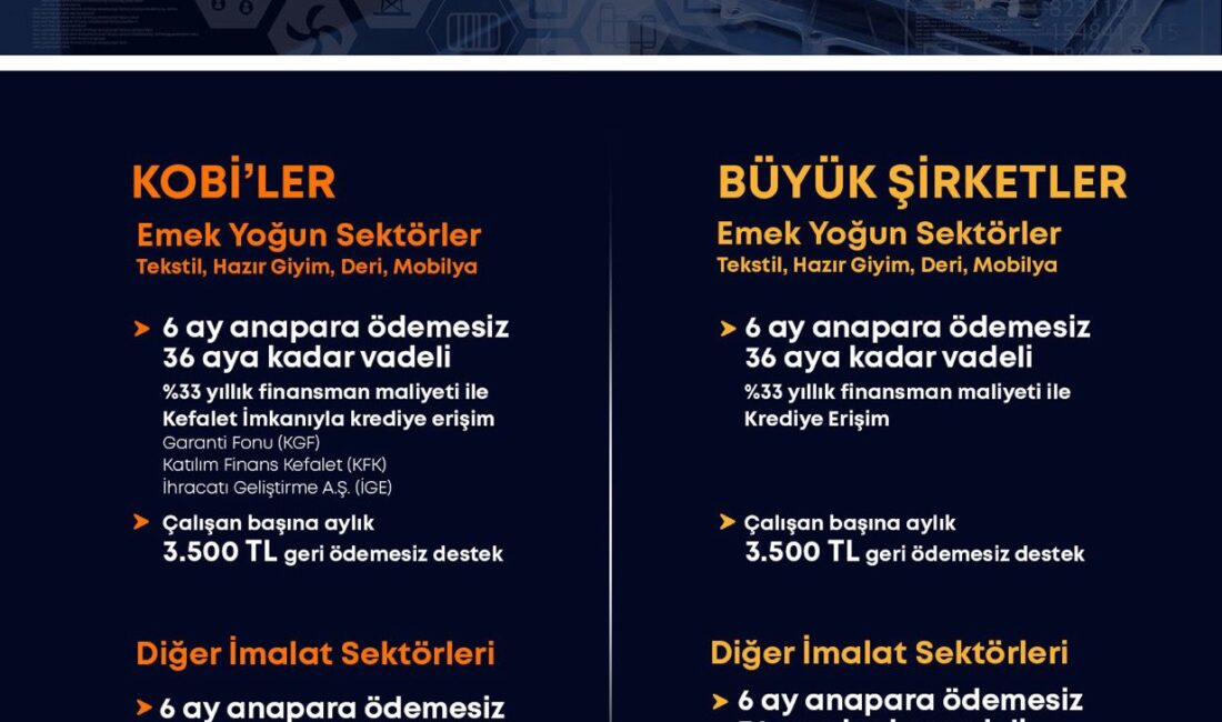 Küçük ve Orta Ölçekli