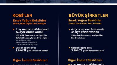 Küçük ve Orta Ölçekli İşletmeleri