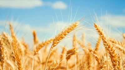 Ukrayna’nın İddiaları İsrail ile Diplomatik