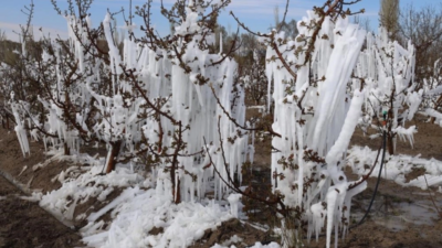 Üreticiler Ve Çiftçiler İçin Kritik
