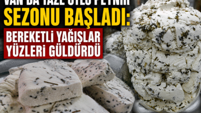 Van’ın tescilli lezzeti olan coğrafi