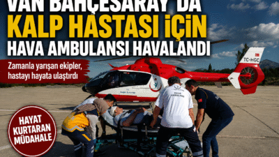 Van’ın Bahçesaray Devlet Hastanesi’nde tedavi