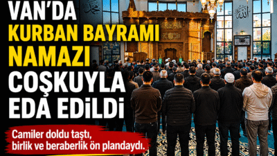 &nbsp; SUAT BARAN – VAN