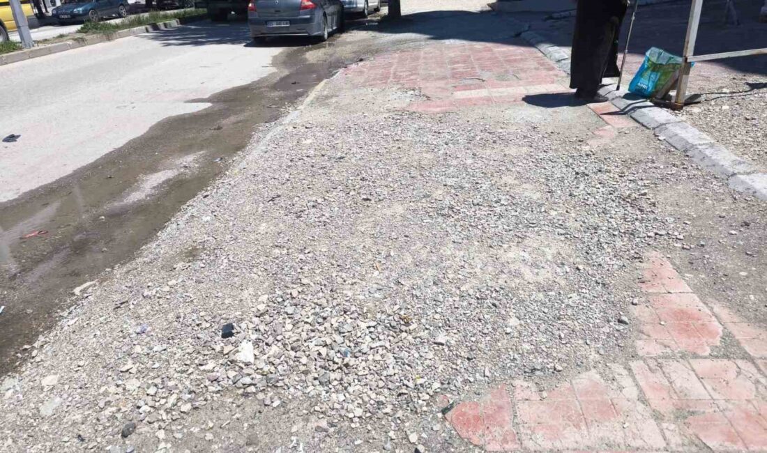 SUAT BARAN – VAN
