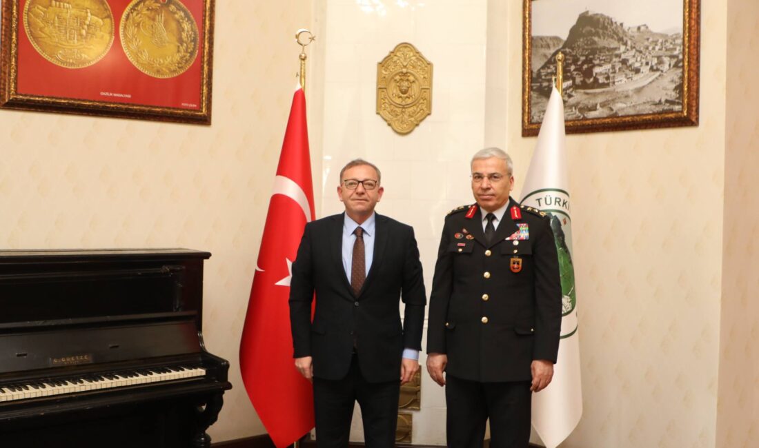 Jandarma Genel Komutanlığı Denetleme