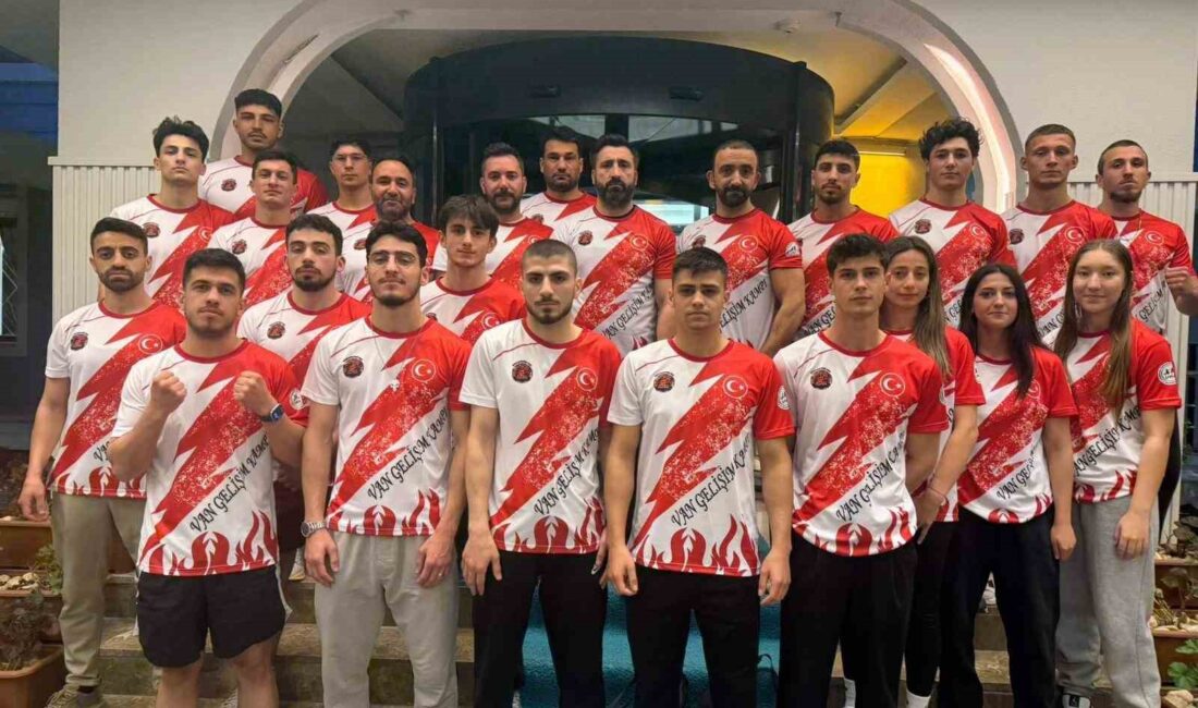 Van, Avrupa ve dünya