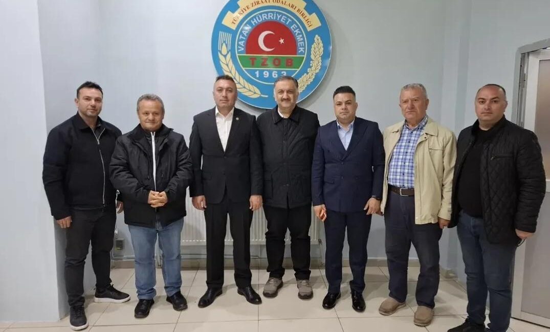 ​DEVA Partisi Genel Başkan Yardımcısı,