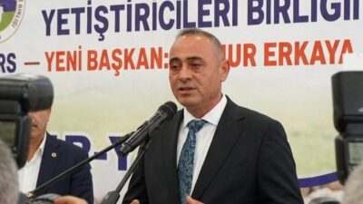Kars İli Koyun ve Keçi