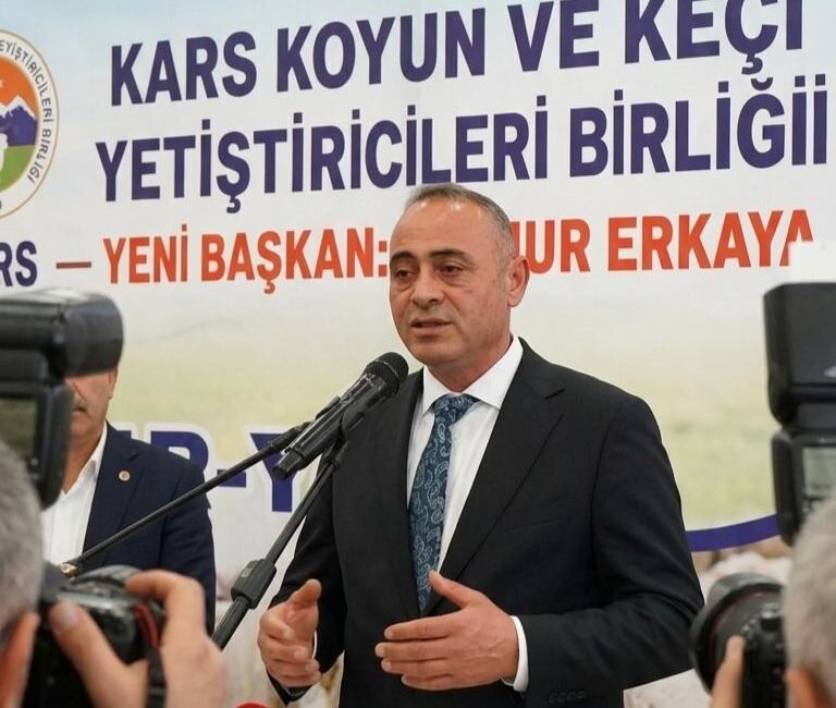 Kars İli Koyun ve