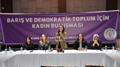 DEM Parti Genel Başkan Yardımcısı Tülay