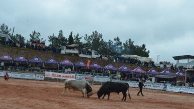 İzmir’in Kemalpaşa ilçesi Akalan Mahallesi,