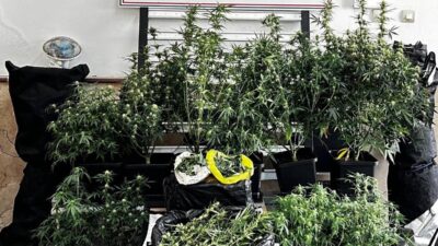 Bursa’nın Osmangazi ilçesinde jandarma ekipleri