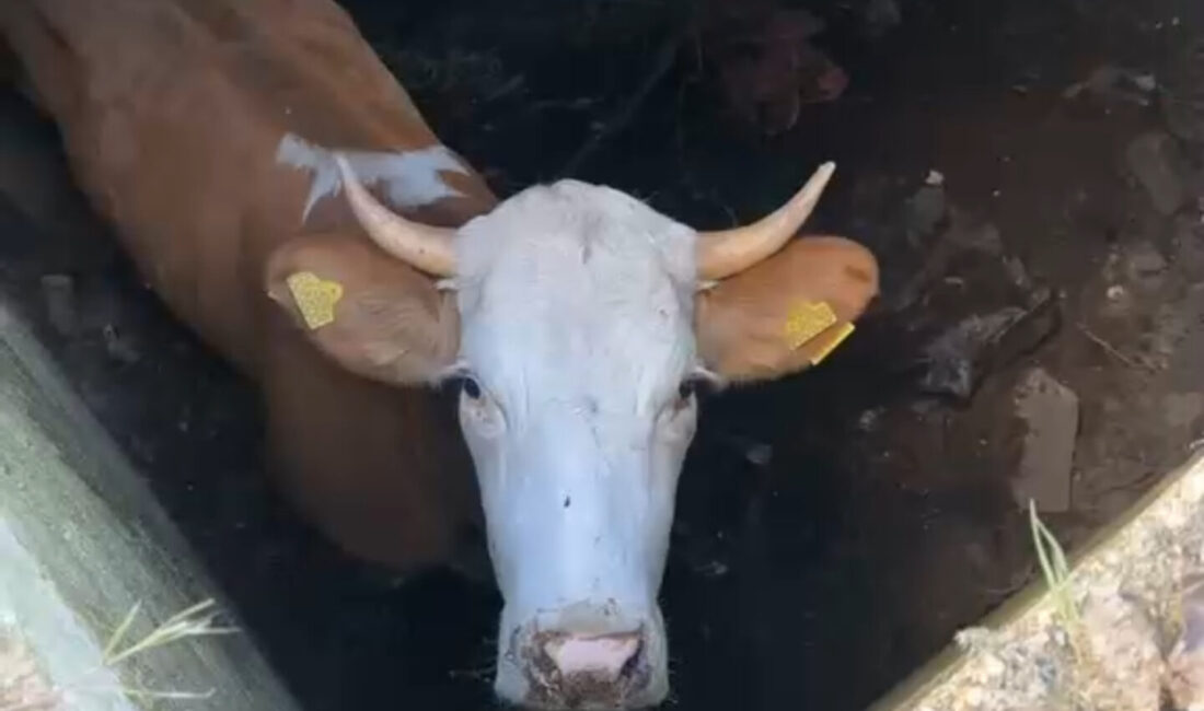 &nbsp; Gümüşhane’nin Köse ilçesinde