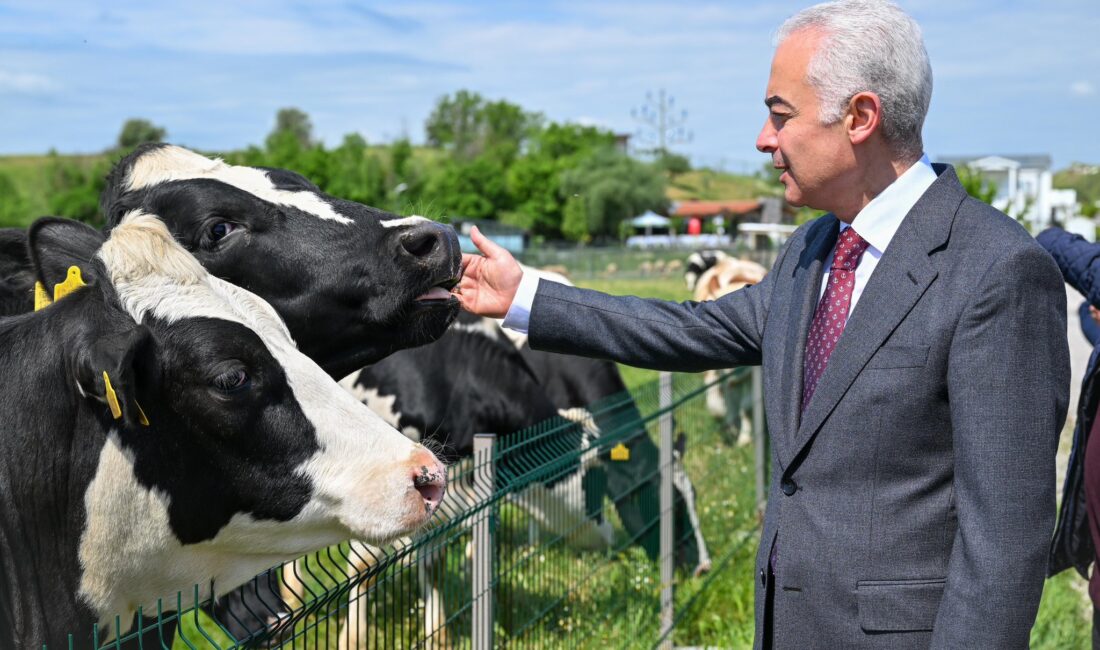 KIRKLARELİ / TEKHA Kırklareli