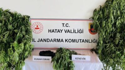Hatay’ın Samandağ ilçesinde jandarma ekiplerince