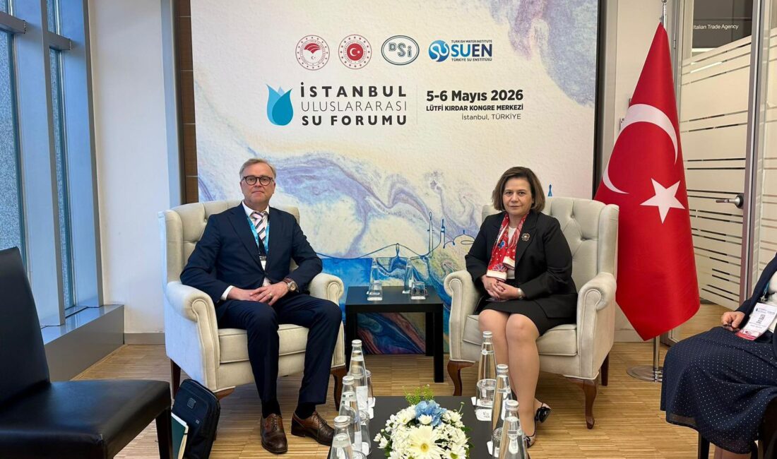 Dışişleri Bakan Yardımcısı Büyükelçi
