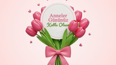 Yalova Valisi Dr. Ahmet Hamdi