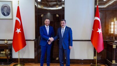 Cumhurbaşkanı Yardımcısı Cevdet Yılmaz, Belçika