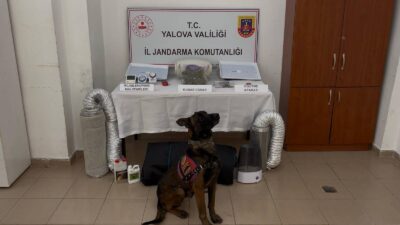 Yalova İl Jandarma Komutanlığı ekipleri,