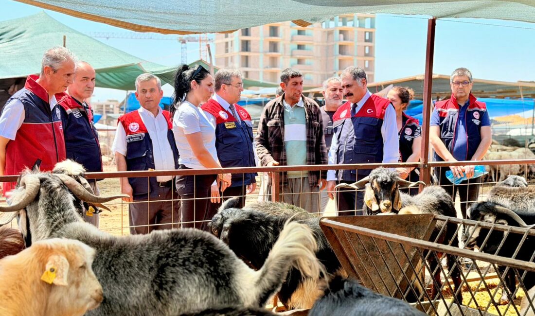   MERSİN / TEKHA