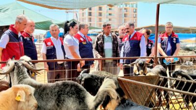   MERSİN / TEKHA Yaklaşan