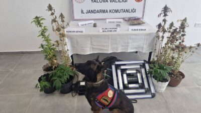 Yalova İl Jandarma Komutanlığınca, uyuşturucuyla
