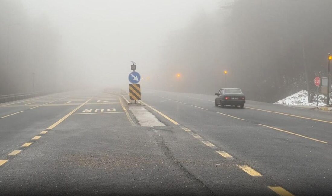 Bolu’da Bayram Dönüşü Ağır Vasıta Trafiğine Kısıtlama BOLU / TEKHA Kurban