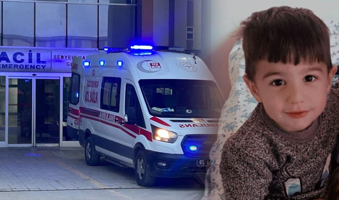 Van’ın Saray ilçesinde 1
