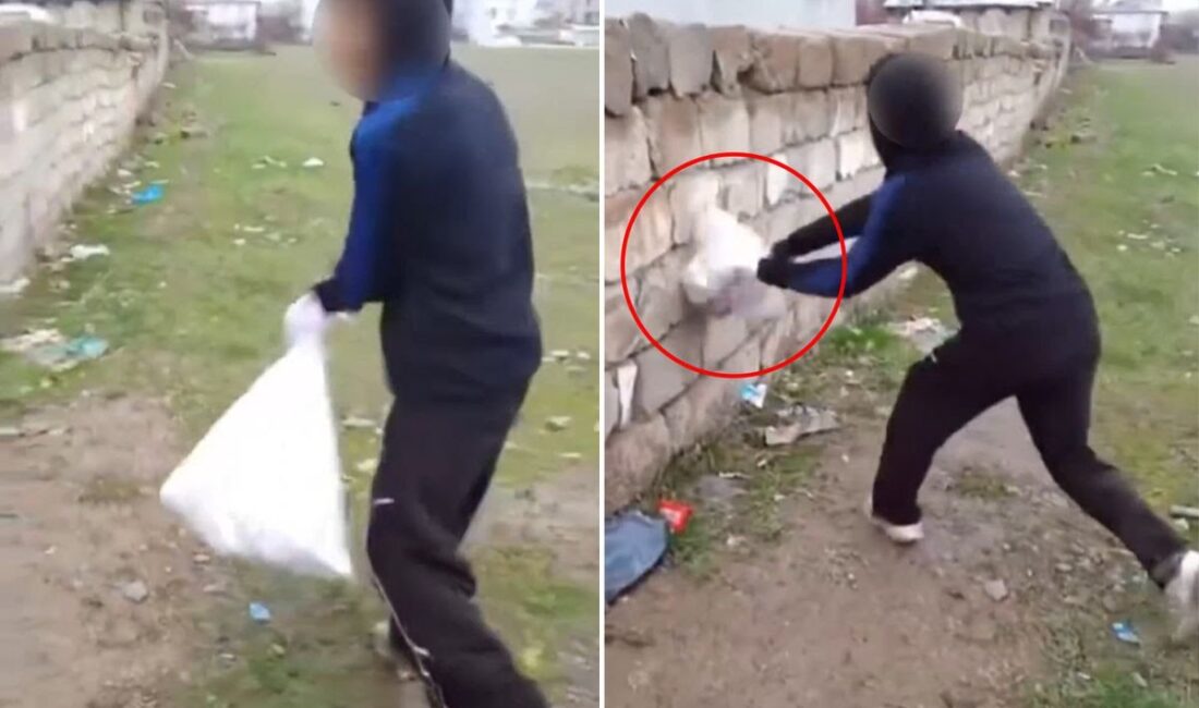 Van’da bir grup çocuk,