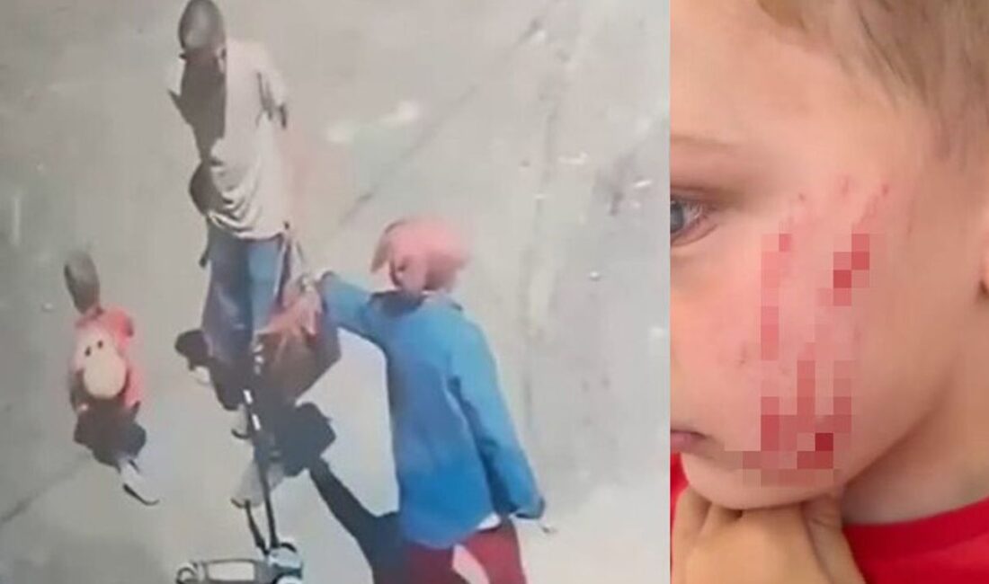 Van’ın Edremit ilçesinde sokakta