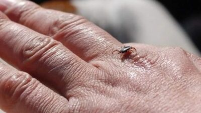 Van İl Sağlık Müdürlüğü Halk