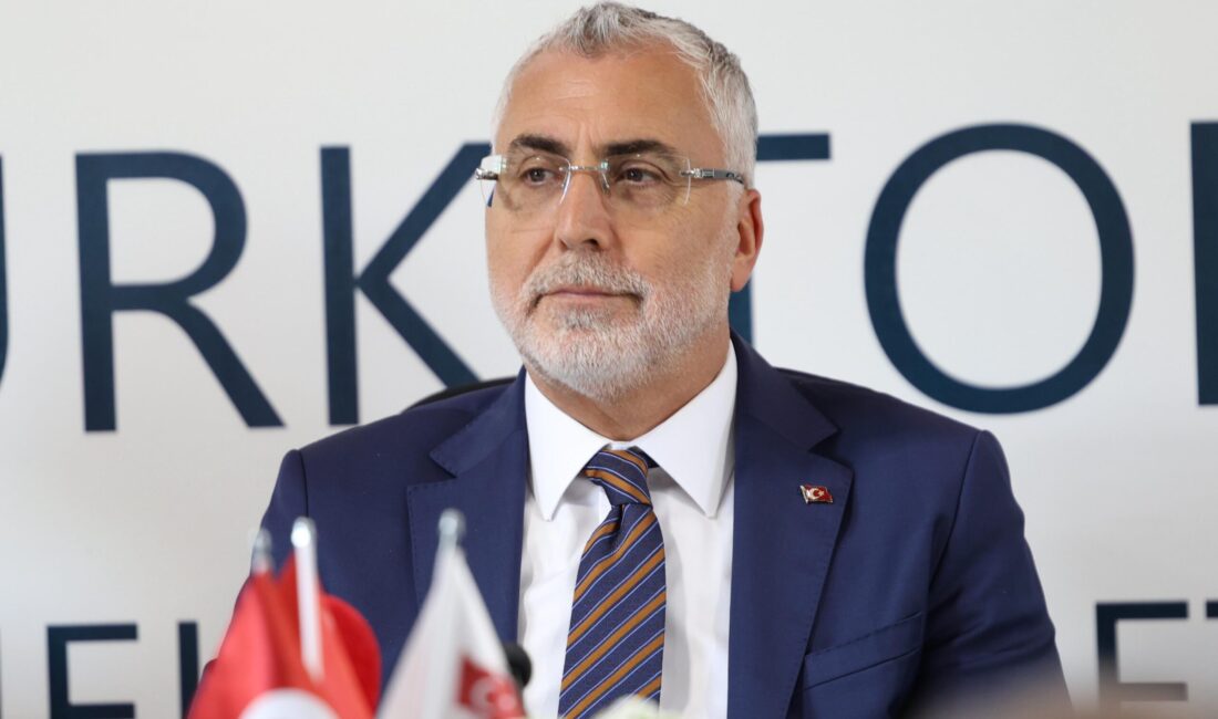 İSVİÇRE / TEKHA Çalışma ve