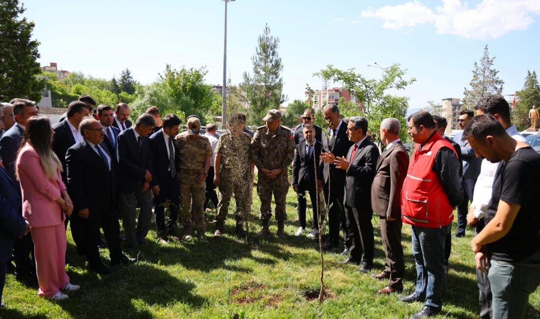 ŞIRNAK / TEKHA Şırnak Valisi